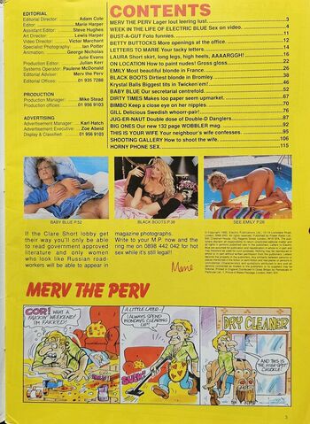 1980'S & Early 90'S Page 3 Girls