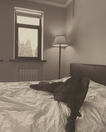 Adalat Amreyeva Adalatamre