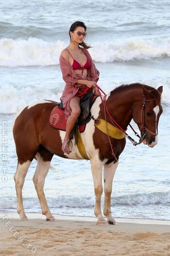 Full leaked Alessandra ambrosio  page private onlyfans photo