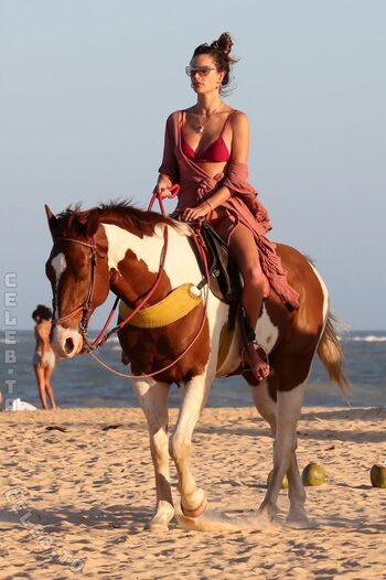 Full leaked Alessandra ambrosio  page private onlyfans photo