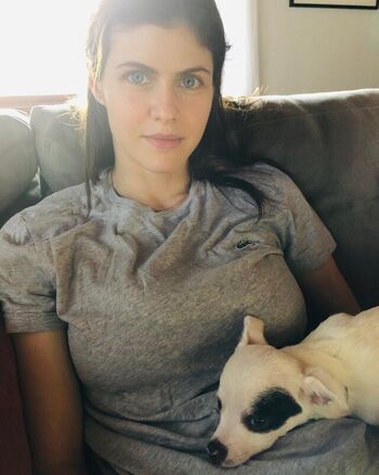 Full leaked Alexandra daddario  page private onlyfans photo