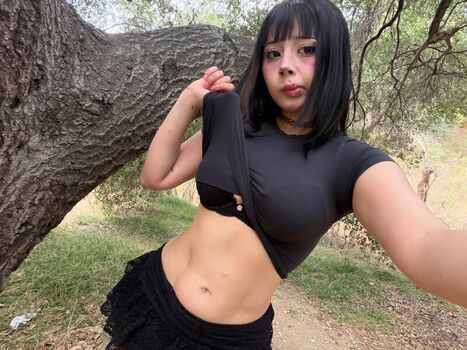 Amymarcella