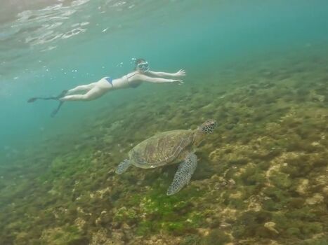 Ana Carolina Madeira