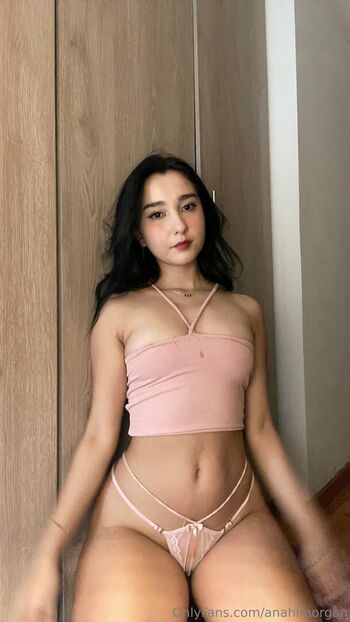 anahimorgan