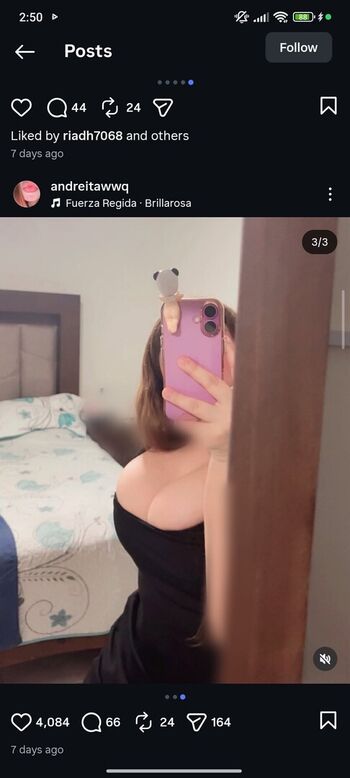 andreitawwq
