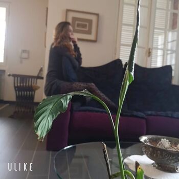 Full leaked Arianna gorla page private onlyfans photo