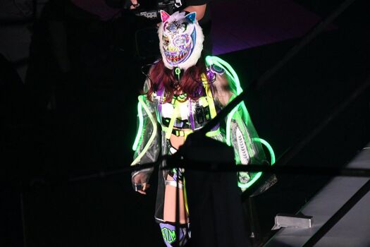 Full leaked Alice li alicerenar lismagi/ private onlyfans photo