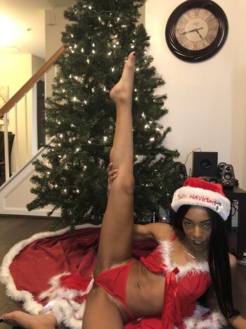 Bria Backwoods