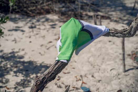 Combustível Sem Imposto