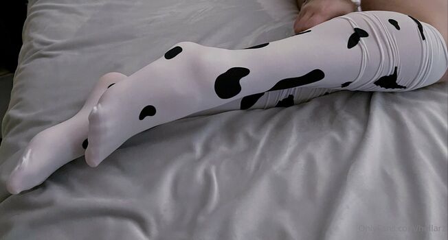 Full leaked Cow maid cow bikini cosplay private onlyfans photo