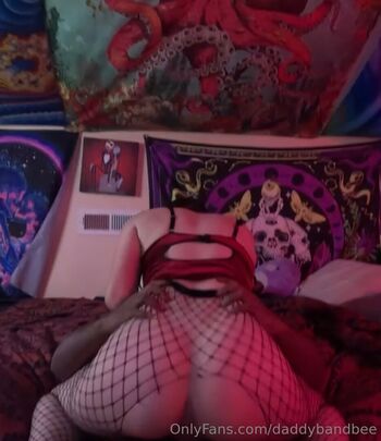 daddybandbee