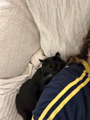 Full leaked Dahnikz private onlyfans photo