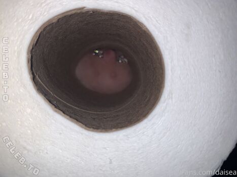 Full leaked Daisea page private onlyfans photo