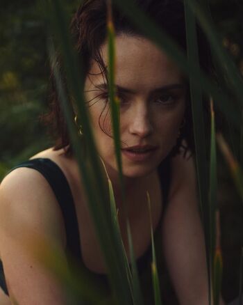 Daisy Ridley