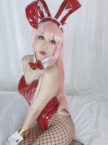 Danisaurz