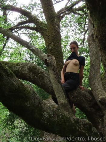 dentro.il.bosco