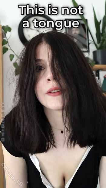 Dont Trust The Rabbit