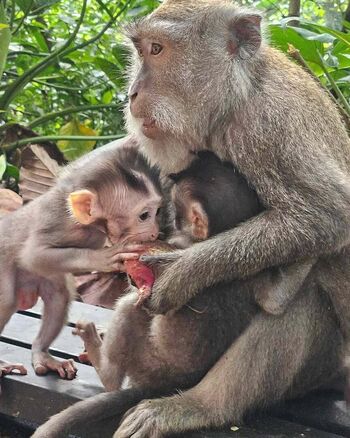 Full leaked Evie leana private onlyfans photo