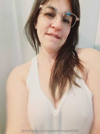 gatamimosa4040