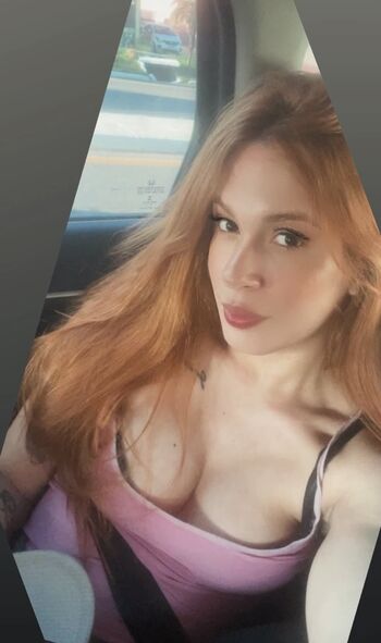 Gatas De Porto Velho