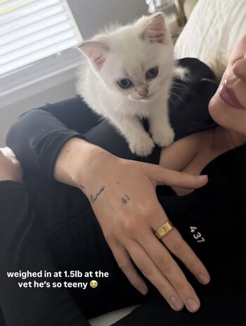 Full leaked Hailey malles private onlyfans photo