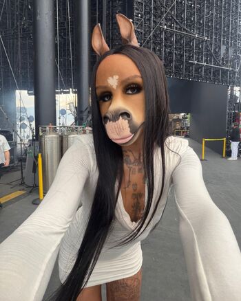 HorsegiirL