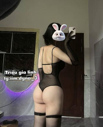 iim.dyna_3