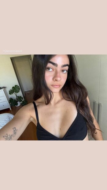 Inas Elashiry