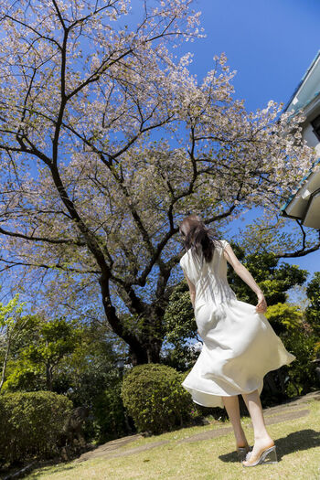 Jav Actress Gravure