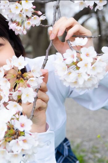 Jav Actress Gravure