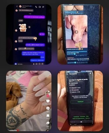 Full leaked Jaz pincita private onlyfans photo
