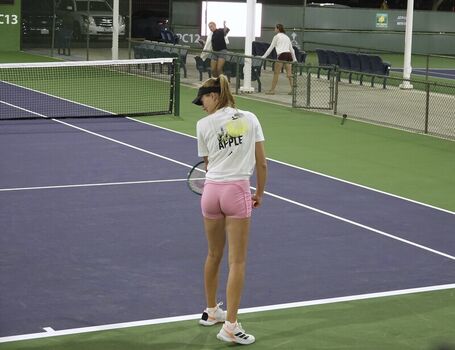 Kristina Mladenovic