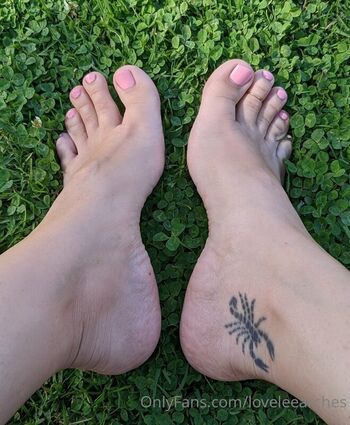loveleearches