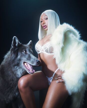 Megan Thee Stallion