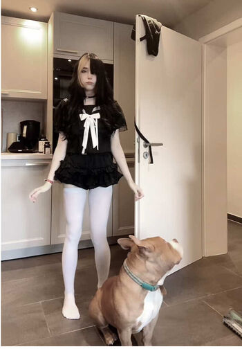 meinekatzeschmecktgut