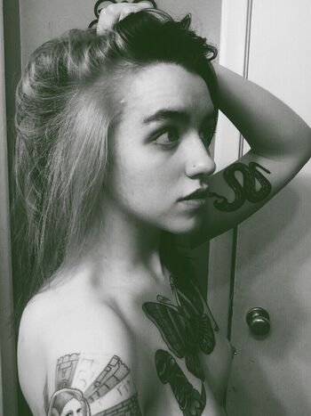 Meowtallica From Tumblr