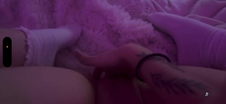 Mielparadise