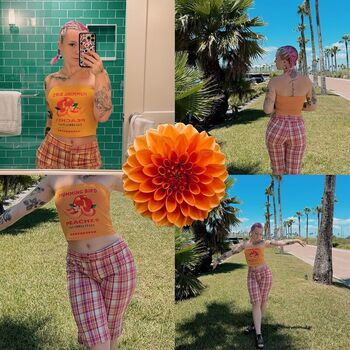 mildhippie