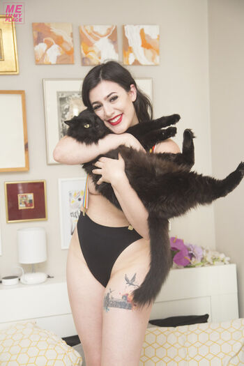 MIMP - Me In My Place - MeInMyPlace