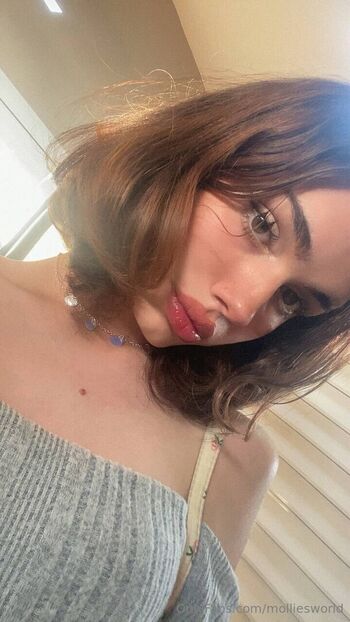 molliesworld