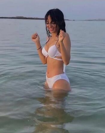 Momortelle Immomortelle