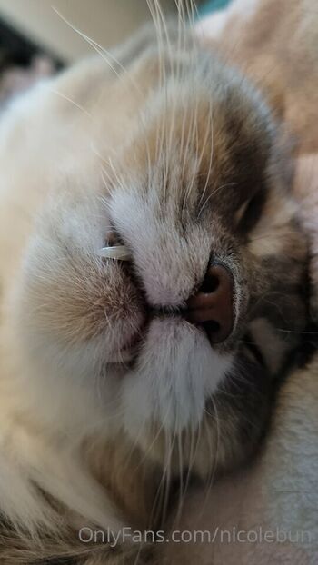 Full leaked Nicolebun private onlyfans photo