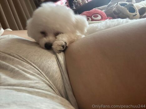 peachuu244