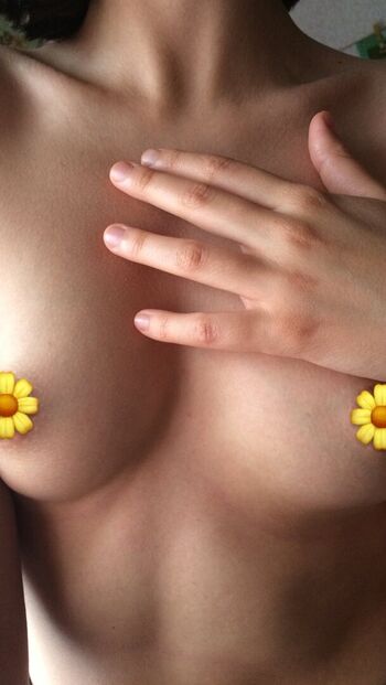 perelin_night_forest