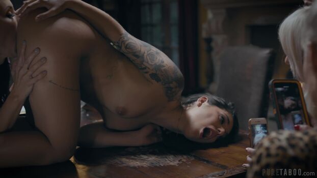 Pure Taboo