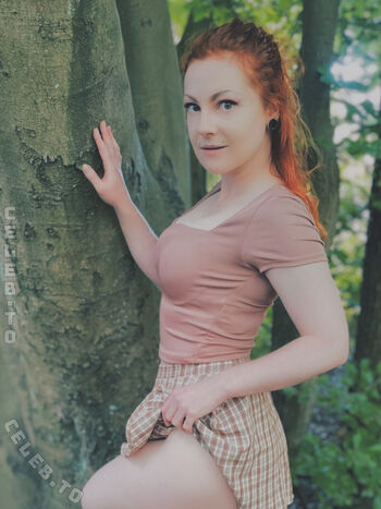 RexiShoot