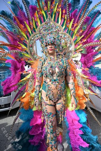 Full leaked Rihanna  page private onlyfans photo