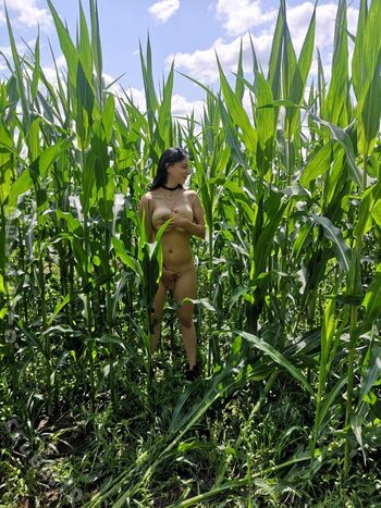 Full leaked Rike lisaserotik private onlyfans photo