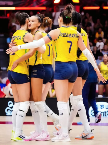 Rosamaria Montibeller