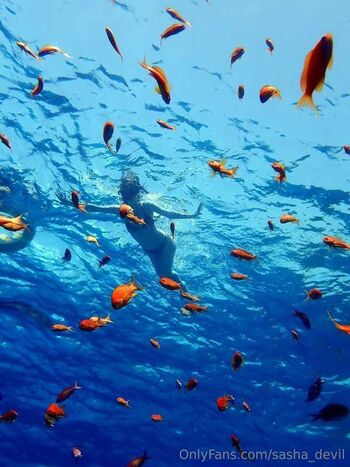 sasha_devil